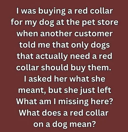 If You See a Dog in a Red Collar, Here’s What to Know